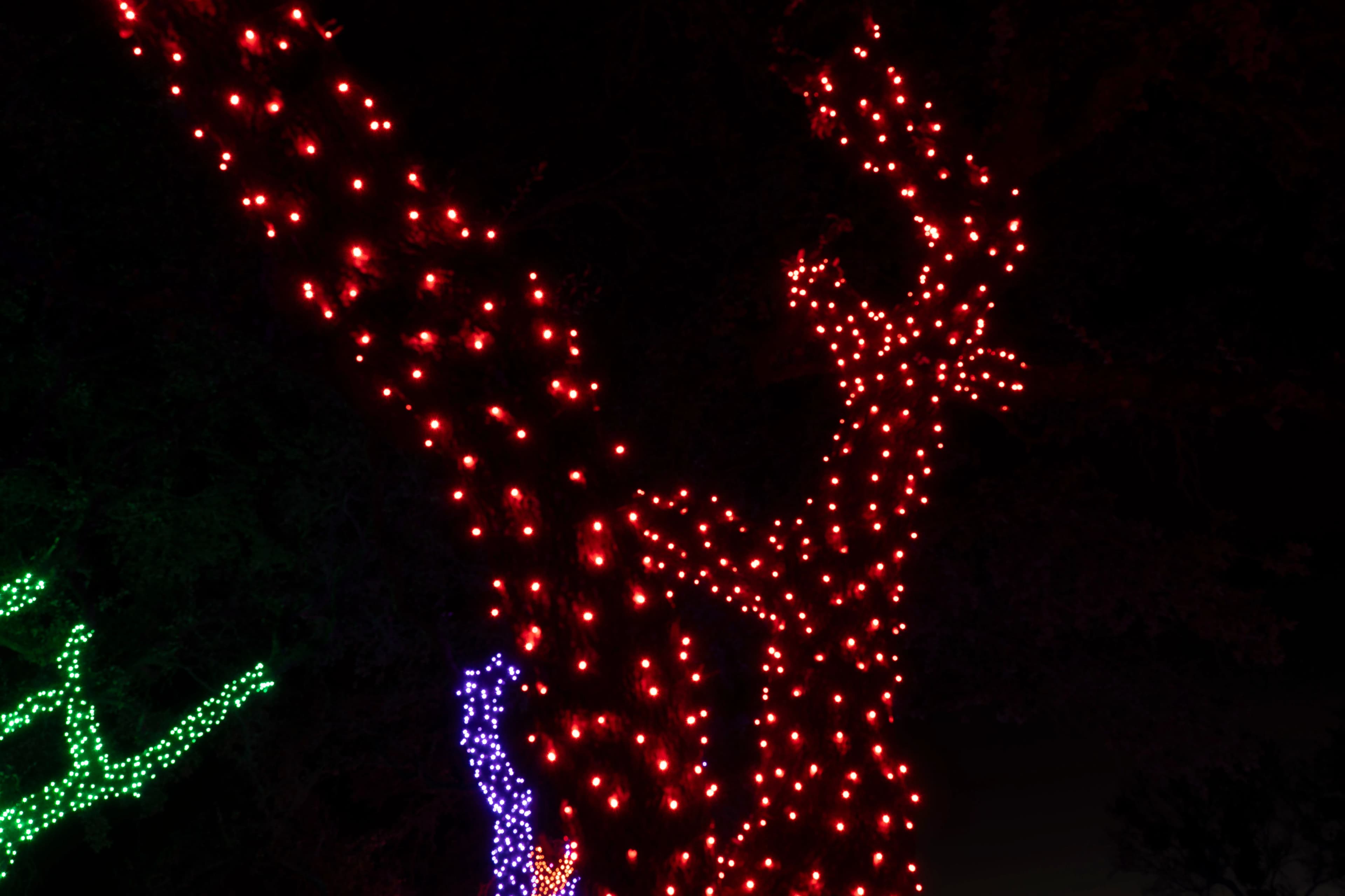Large-Scale Holiday Display