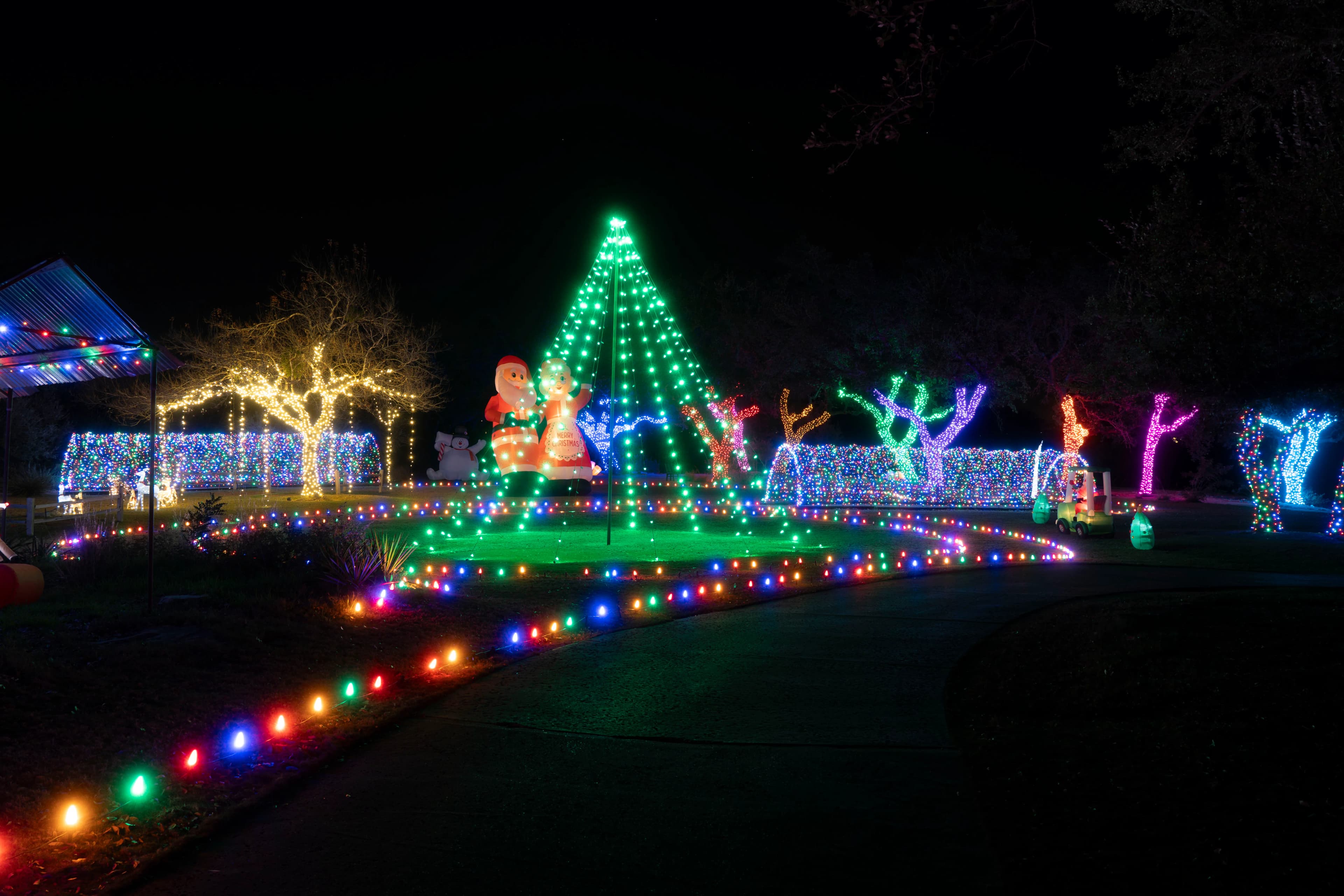 Illuminated Tree Installation